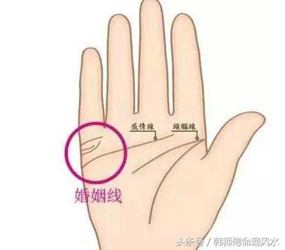 3条婚姻线上下长中间短