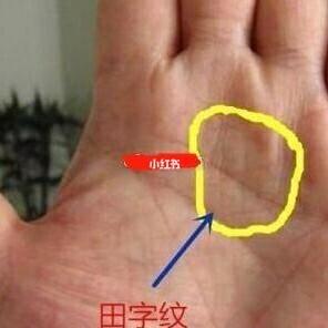 田字纹是巨富吗