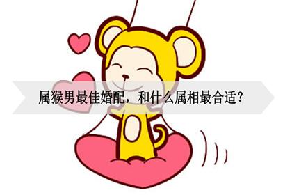 属猴人婚配属相