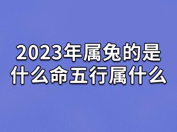2023年水兔对应五行是什么