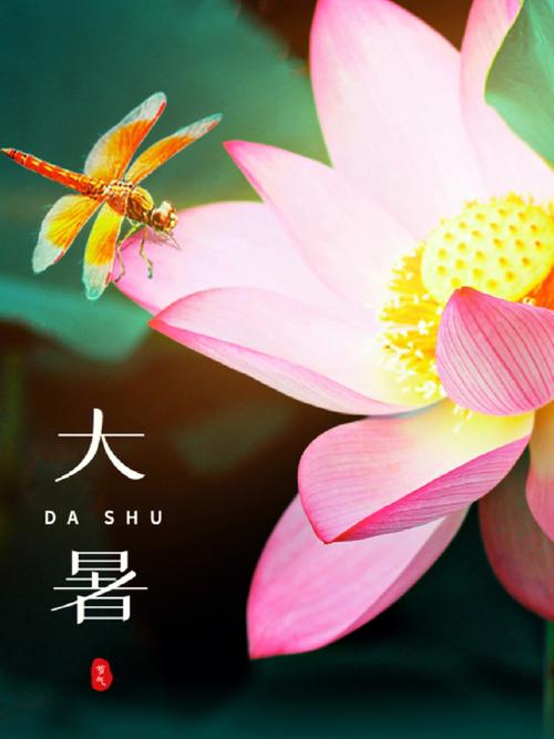 大暑过生日的人好吗?什么季节出生的宝宝好