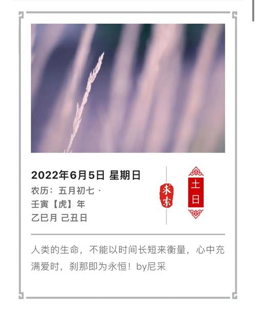 2022年6月5日是什么日子