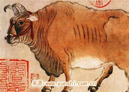 火牛的人性格与运势如何