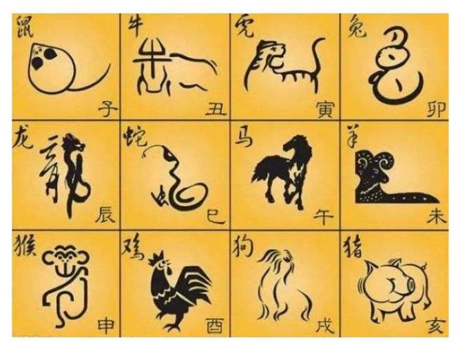 情商很低的生肖大全