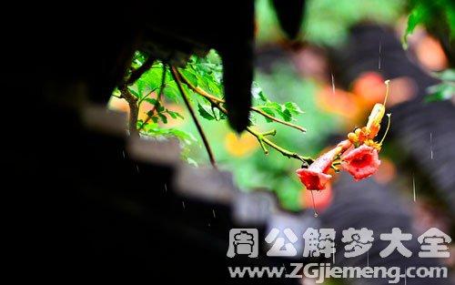 梦见梅雨