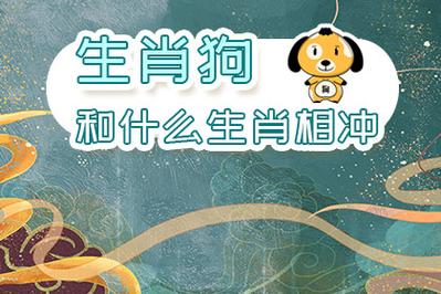 属狗和哪三个属相的人最配