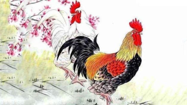 爸爸属鸡孩子属虎好吗