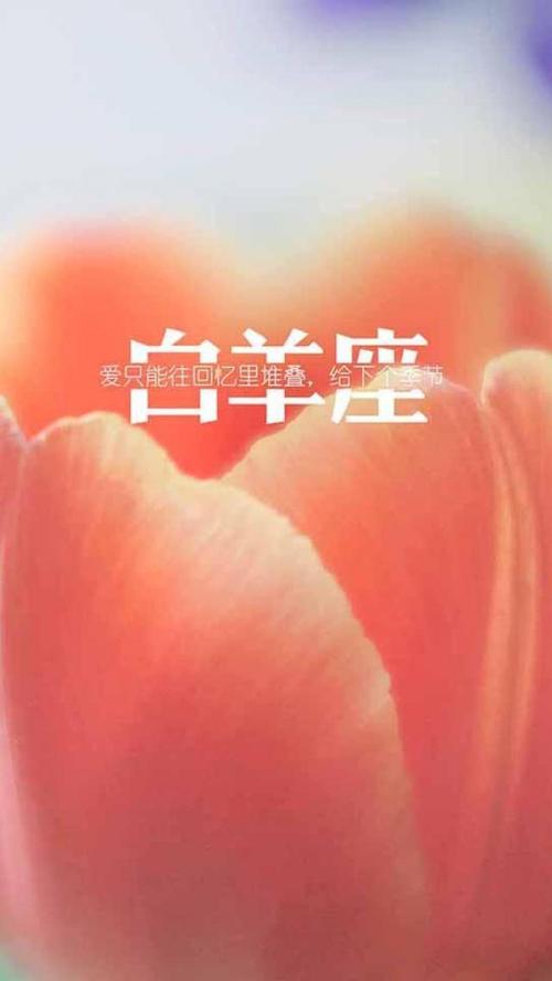 白羊座最喜欢的手机