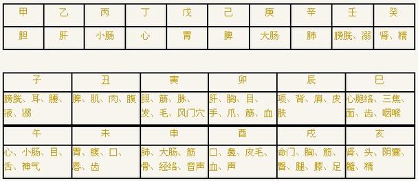 最全的八字干支与人体器官象义