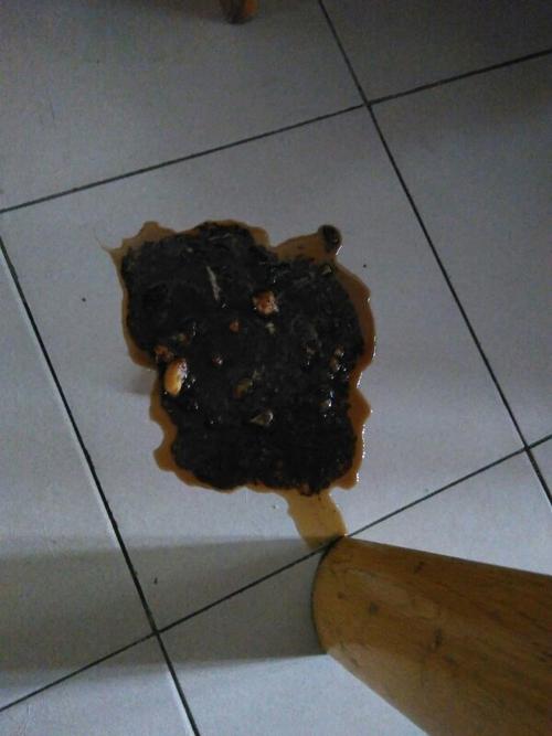 梦见狗吐血