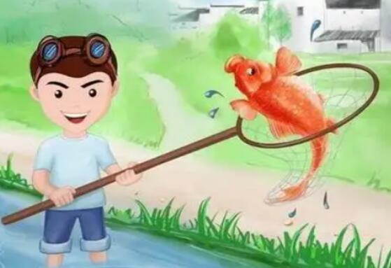 梦到在水里抓鱼是什么意思