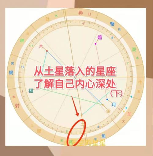 土星去往哪里了星座