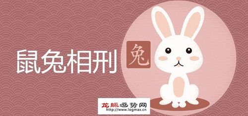 鼠兔相冲反而大吉,这是什么说法呢