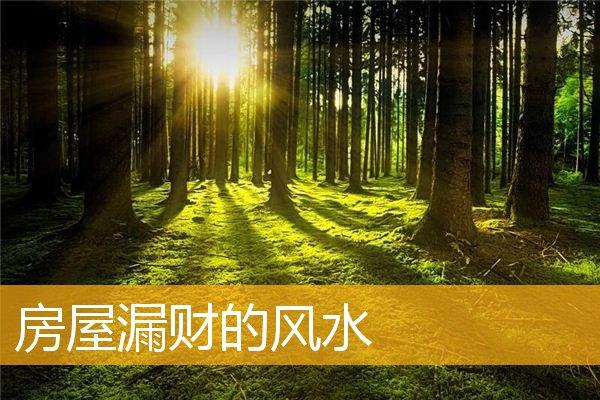 关于漏财的风水