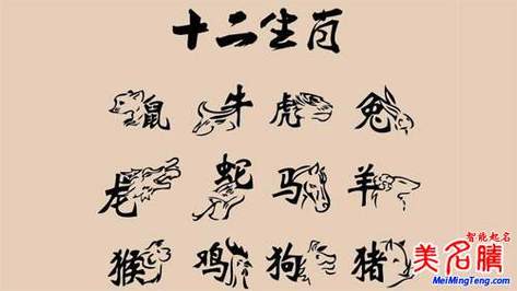 十二生肖最忌讳这些名字