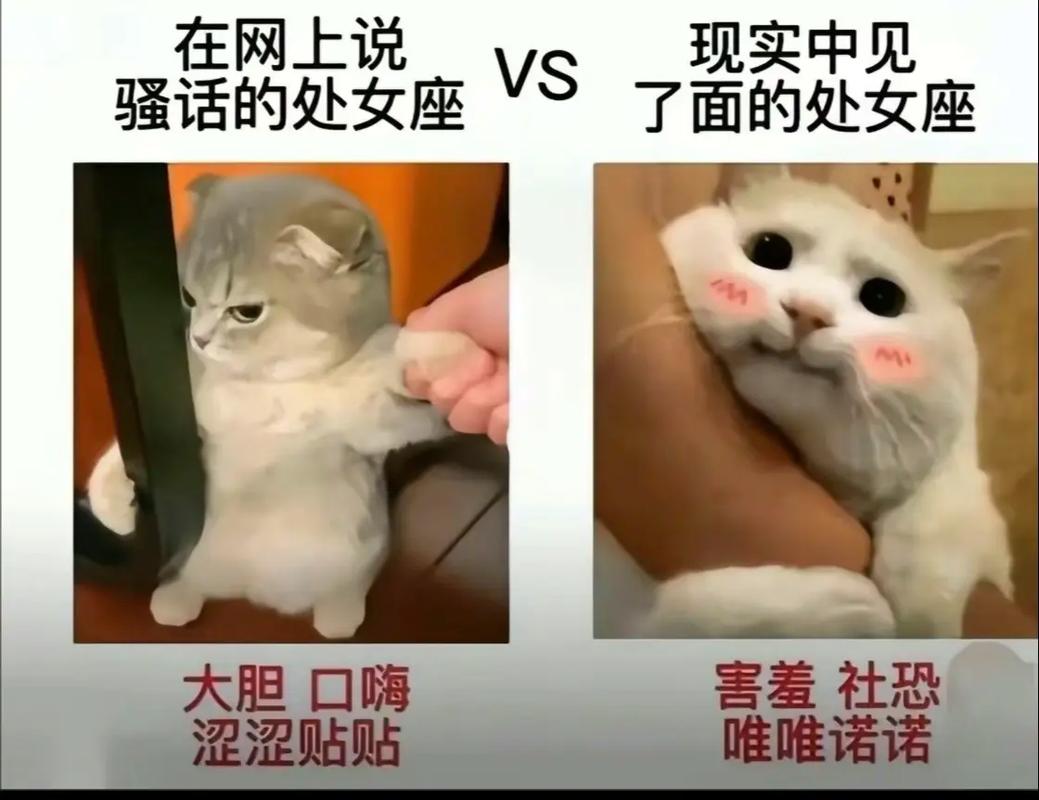 处女座的职场减压对策