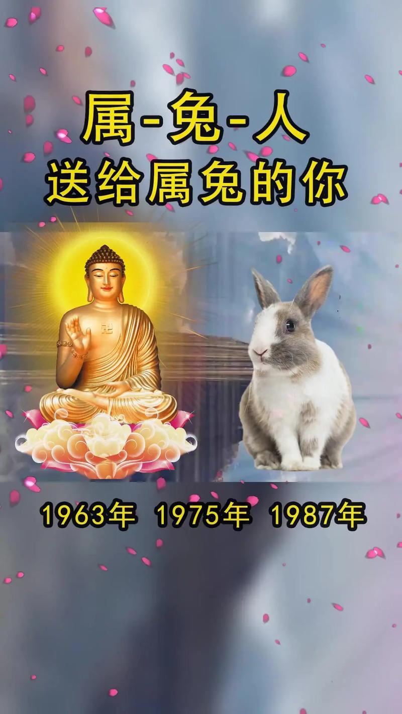 87年属兔一生婚姻缘分