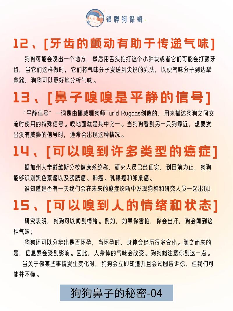 7种常见鼻子揭露你的秘密