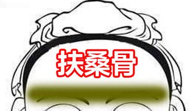 骨相大全——扶桑骨