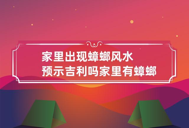 家里出现蟑螂风水预示吉利吗