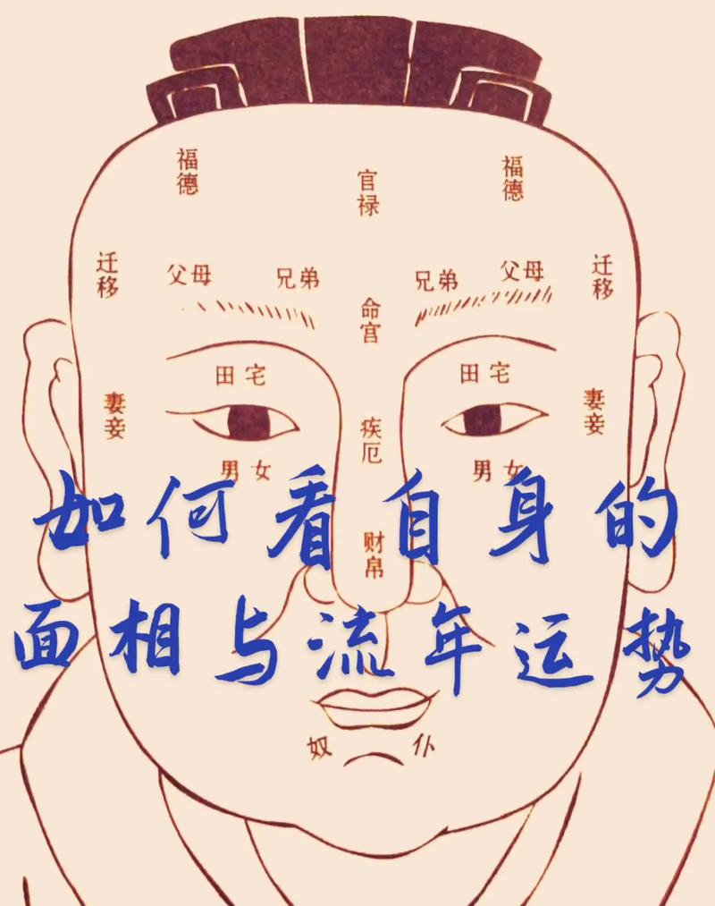 看面相鼻子分析