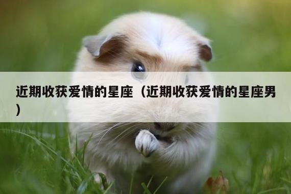 秋天最易收获爱情的3大星座