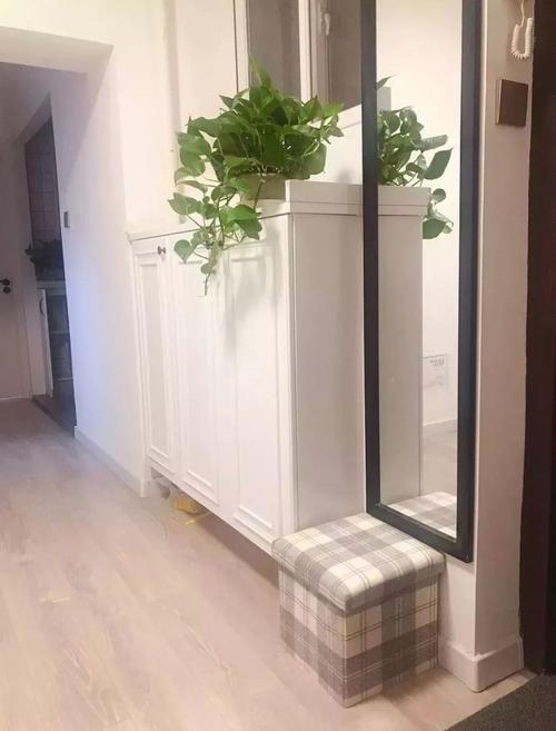 鞋柜上放什么植物好