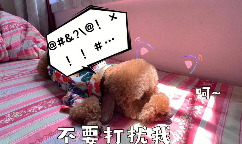 体检结果测你的上当指数