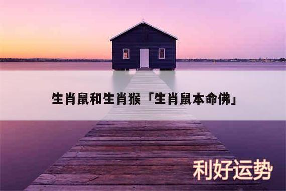 家里属鼠的和属猴好不好