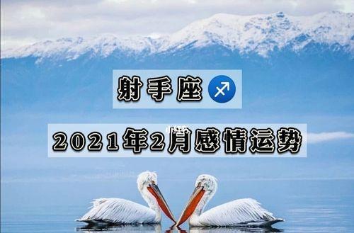 小乖麻 射手座2021年1月运势完整版