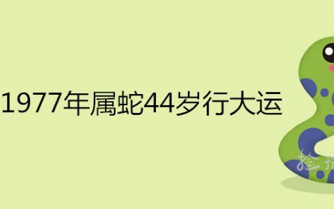 1977年属蛇一生有二婚