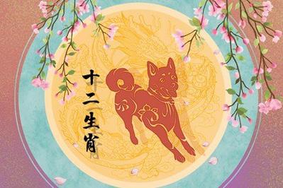 会被异性带衰的生肖