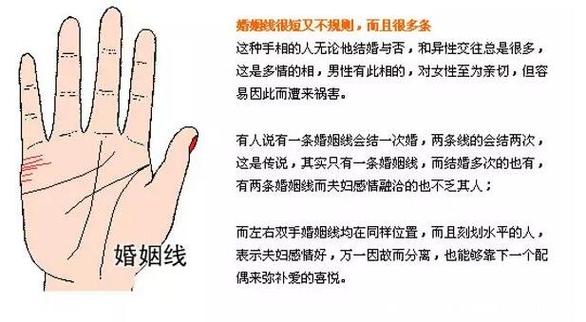 感情线与智慧线相交_手相分析