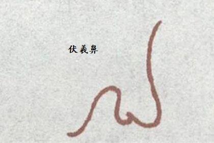 神采飞扬,贵极人臣的伏羲鼻面相图解分析