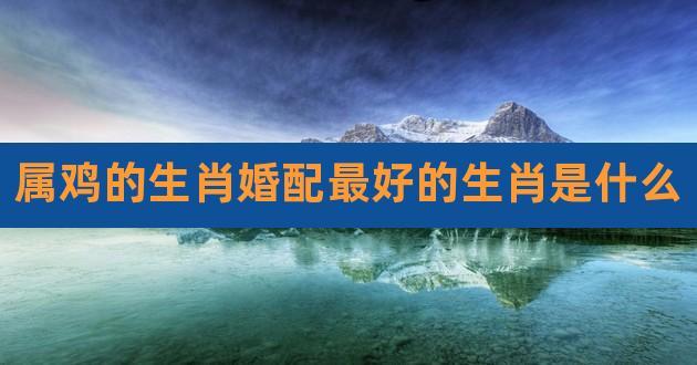 属鸡人最佳结婚属相与最不适宜属相各是哪些?
