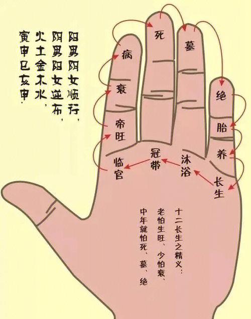 四柱预测基础知识入门