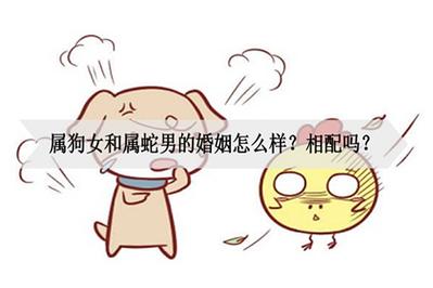 男狗和女蛇相配婚姻如何?属蛇女有哪些婚后该改正的坏毛病?
