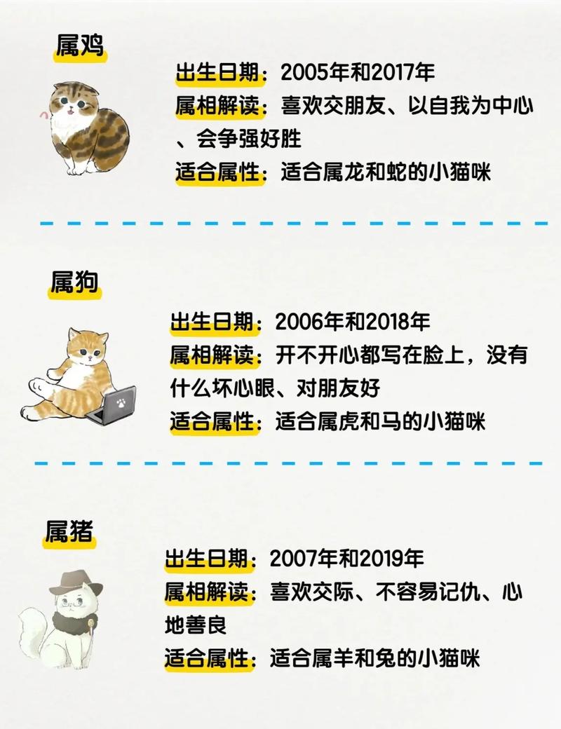 猫是十二生肖什么属相