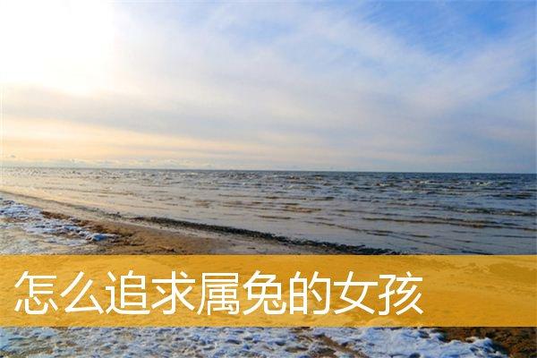 如何追求属兔的女生