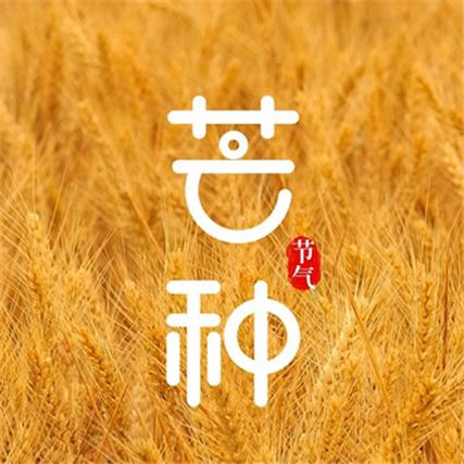 芒种节气要吃什么?生肖属马的人芒种节气出生命运好不好?