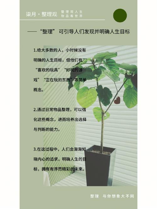 这三大生肖有很明确的人生规划