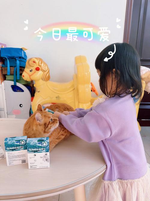 6日出生的2018年狗宝宝命运如何?能成为人生赢家?