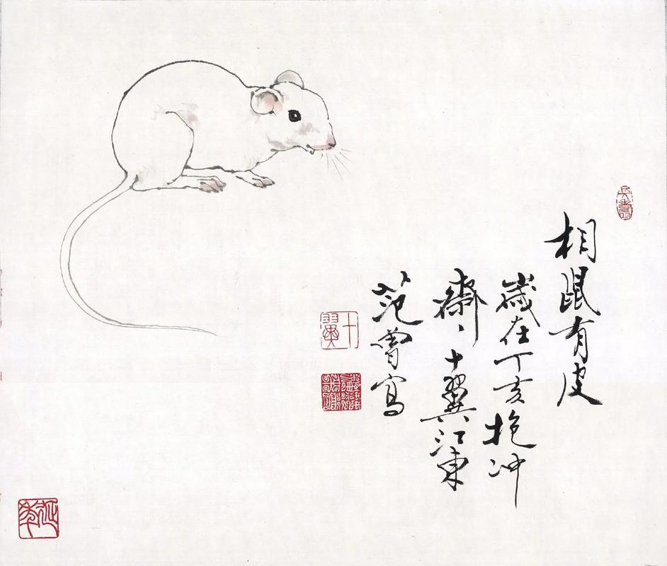 生肖鼠容易陷入哪种感情泥沼不能自拔?