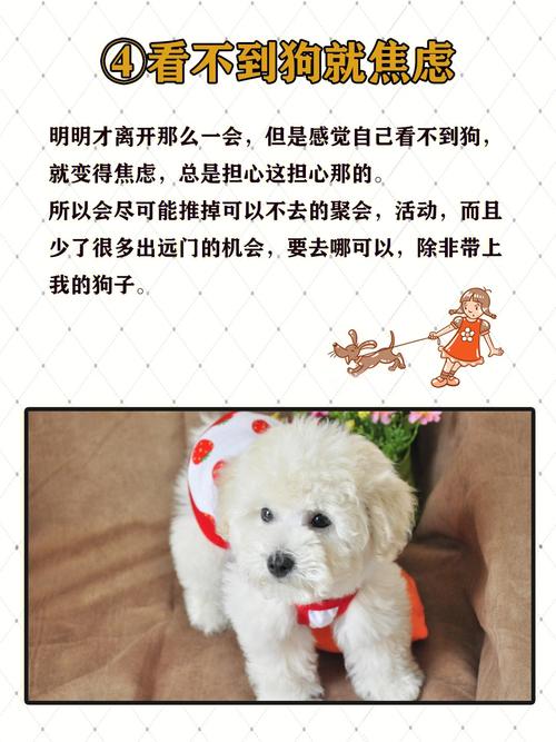 梦见狗缠着自己甩不掉