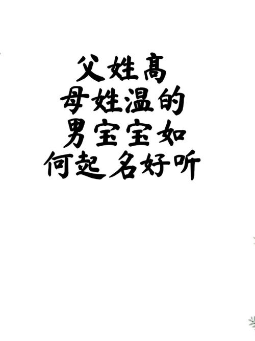 姓温男孩名字好听时尚有意义的有哪些