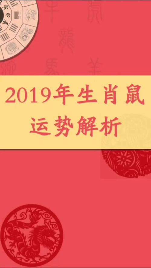 2019年生肖属鼠整年运势全年解析