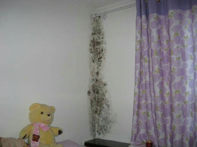 房间墙发霉影响风水吗