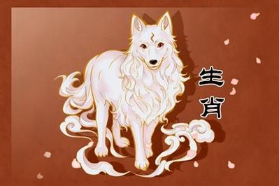 属狗的人最想找回遗失的什么