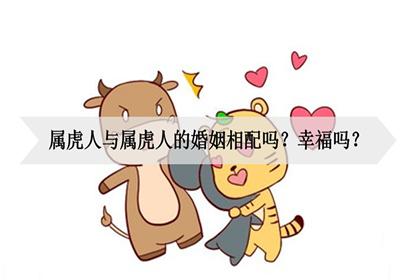 属虎关于恋爱的事