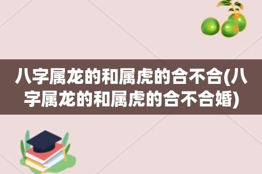 属龙与属虎合作怎么样